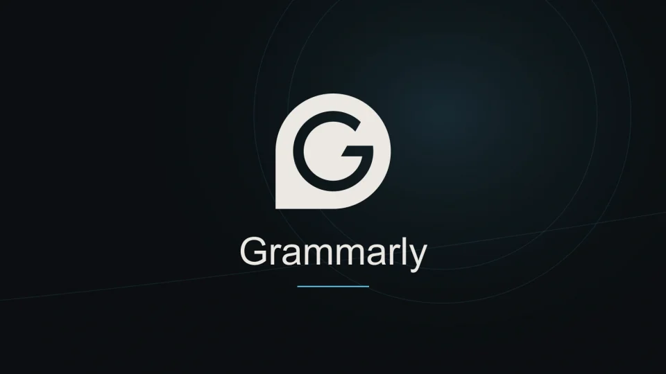 Grammarly tool identity